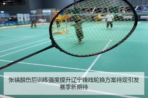 张镇麟伤后训练强度提升辽宁锋线轮换方案待定引发赛季新期待